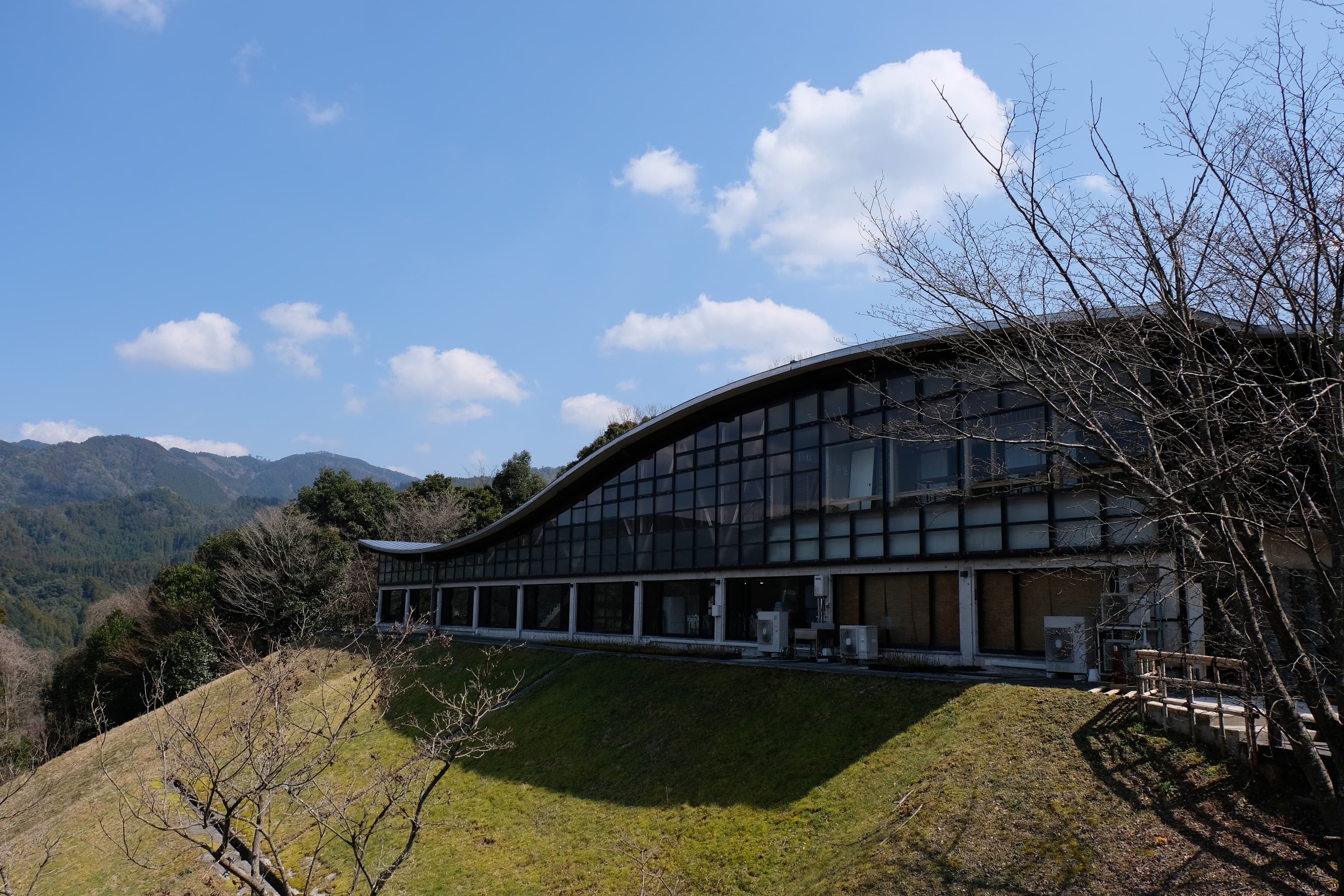 八女抹茶の産地、茶畑の風景